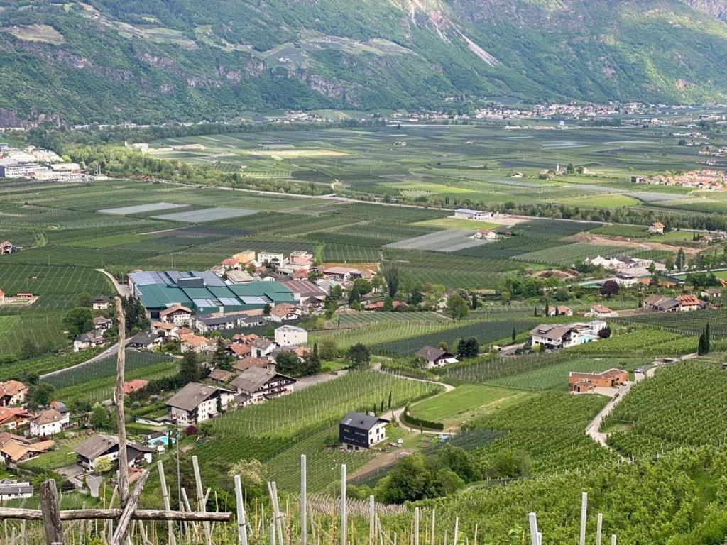 شقة Weingut Bachguetl سيرميس المظهر الخارجي الصورة